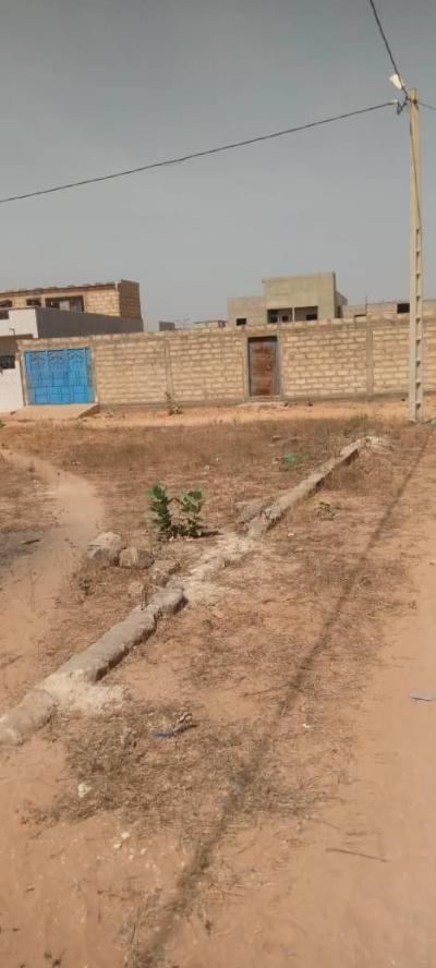 terrain de 300 metres carres a saly 
