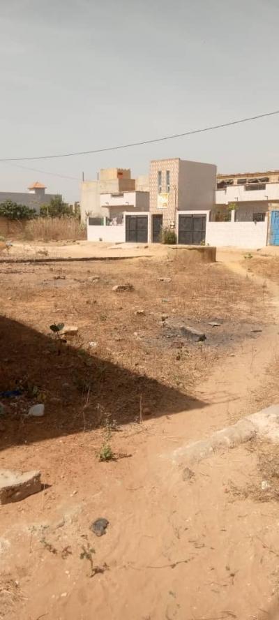terrain de 300 metres carres a saly 