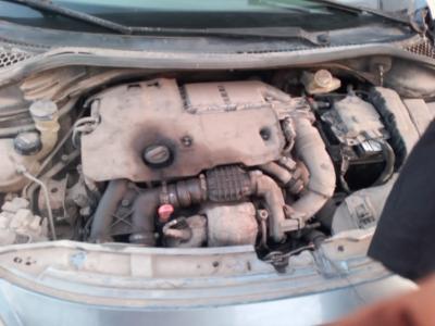 Peugeot 207sw Break 2007