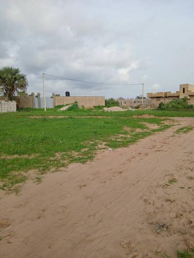 Terrain 300m2 à malicounda péage 