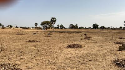 Terrain 300 mètres carrés à vendre à Louly Sé