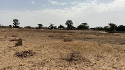 Terrain 300 mètres carrés à vendre à Louly Sé