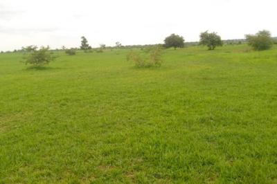 Location d’un Terrain Agricole de 3 hectares ver