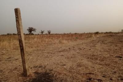 Terrain de 1 hectare vers Nguéniène