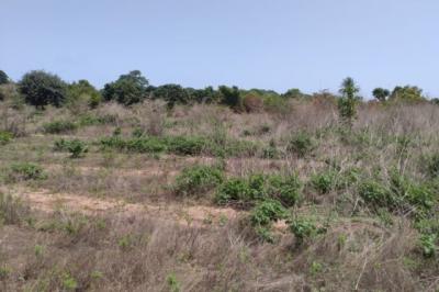 Terrain de 1,02 hectare vers Diembéring