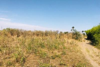 Terrain de 1,06 hectare vers Nguéniène