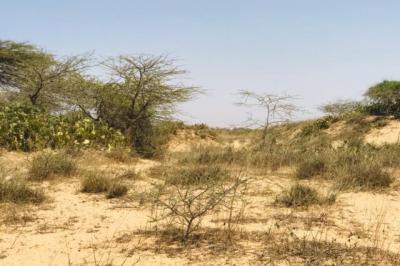 Terrain de 1,28 hectare vers Gandiol