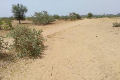 Terrain de 1,28 hectare vers Niakhar
