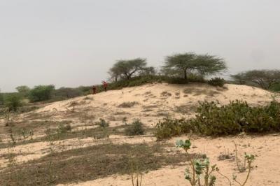 Terrain de 1,40 hectare vers Gandiol