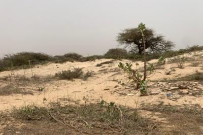 Terrain de 1,40 hectare vers Gandiol