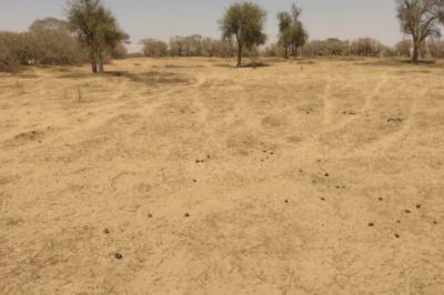 Terrain de 1,43 Hectare vers Sagata