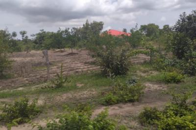 Terrain de 1,5 hectare vers Kataba 1