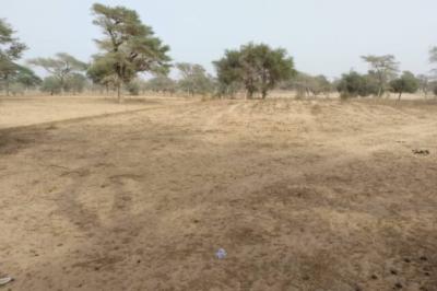 Terrain de 1,56 hectare vers Keur Samba Kane