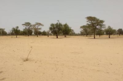 Terrain de 1,81 hectare vers Baba Garage