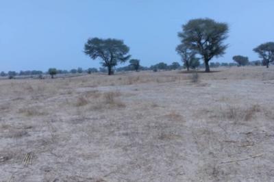 Terrain de 1,73 hectare vers Niakhar