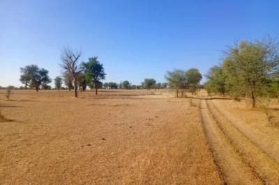 Terrain de 1,71 hectare vers Mbadiane