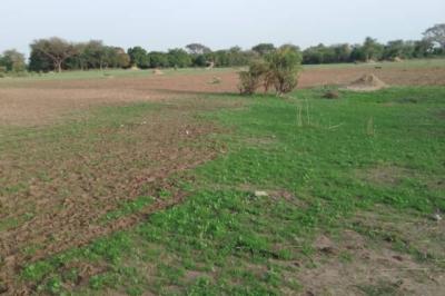 Terrain de 1,68 hectare vers Sandiara