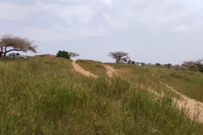 Terrain de 1,83 hectare vers Diokoul Diewrigne