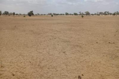 Terrain de 1,87 hectare vers Touba Toul