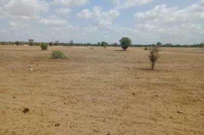Terrain de 1,87 hectare vers Touba Toul