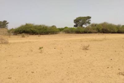 Terrain de 1,93 hectare vers Sindia