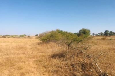 Terrain de 1,95 hectare vers Dalla Ngabou