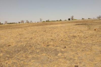 Terrain de 1,95 hectare vers Sandiara