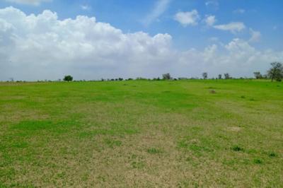 Terrain de 1,97 hectare vers Diourbel