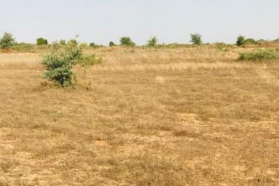 Terrain de 1,99 hectare vers Cherif Lô