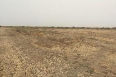 Terrain de 10 hectares vers Diama