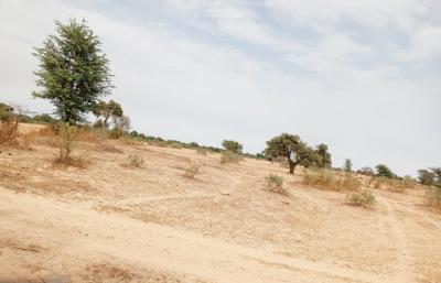 Terrain de 10 hectares vers Keur Samba Kane