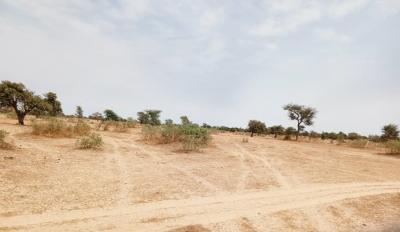 Terrain de 10 hectares vers Keur Samba Kane