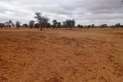Terrain de 10 hectares vers Keur Samba Kane