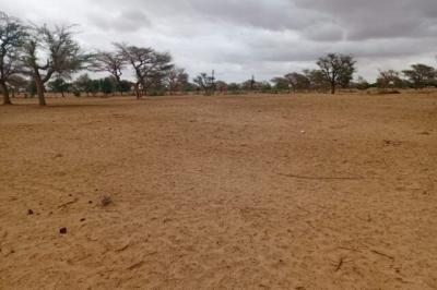 Terrain de 10 hectares vers Keur Samba Kane