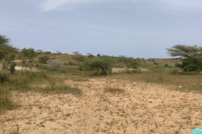 Terrain de 10,37 hectares vers Thieppe