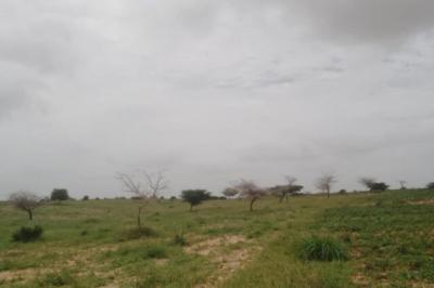 Terrain de 100 hectares vers Diokoul Diawrigne
