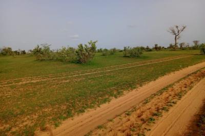 Terrain de 11,24 hectares vers Touba Lapé