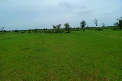Terrain de 13 hectares vers Nghaye