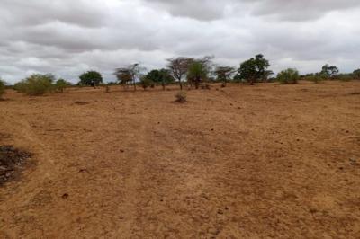 Terrain de 16 hectares vers Keur Samba Kane