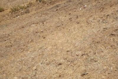 Terrain de 18 hectares vers Ronkh