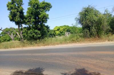 Terrain de 2 hectares vers Keur Madaro