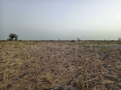 Terrain de 2 hectares vers Nguéniène