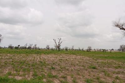 Terrain de 2 hectares vers Sandiara