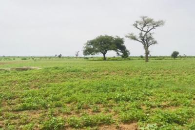 Terrain de 2 hectares vers Tassette
