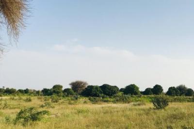 Terrain de 2,09 hectares vers Pire