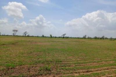 Terrain de 2,18 hectares vers Diourbel