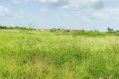 Terrain de 2,29 hectares vers Malicounda
