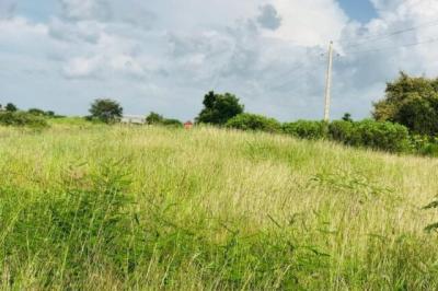 Terrain de 2,29 hectares vers Malicounda
