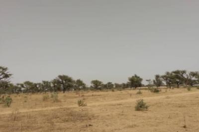 Terrain de 2,30 hectares vers Sindia