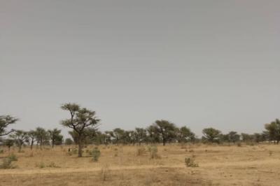 Terrain de 2,30 hectares vers Sindia